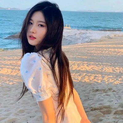 公司业务